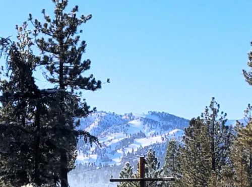 764 Panamint Mountain Dr, Big Bear City, CA 92314-9402