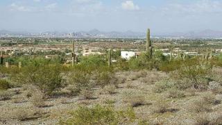 2510 Elliot Rd, Phoenix, AZ 85041-9615
