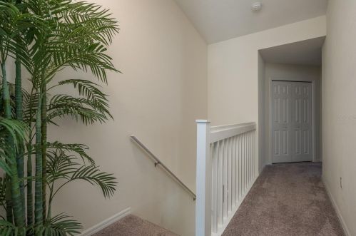 553 Vista Trail Ct, Palm Harbor FL  34683-5260 exterior