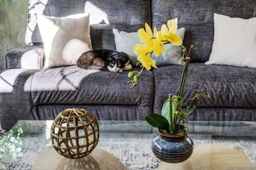 2917 Columbine St, San Diego CA  92105-4629 exterior