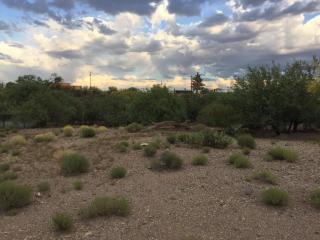 2328 Fickett Ave, Tucson, AZ 85713-2509