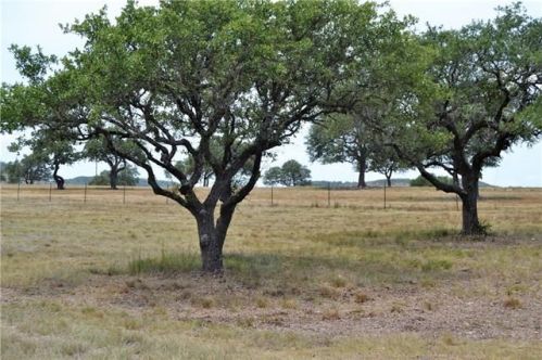 472 Turkey Creek Ln, Blanco TX  78606-4849 exterior
