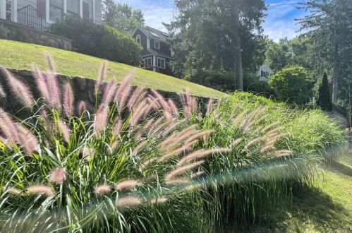 59 Orchard Ridge Rd, Chappaqua NY  10514-2731 exterior
