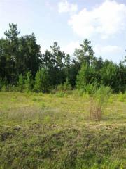 508 Charles Willis Dr, Midway FL  32343-4297 exterior