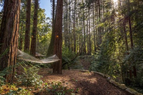 185 Spring Creek Rd, Big Basin CA  95006-8814 exterior