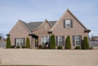 620 Blackankle Dr, Somerville, TN 38060-3533
