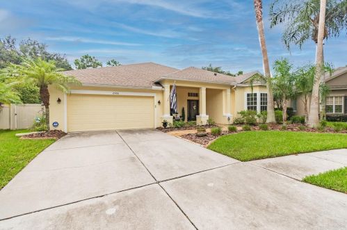 21406 Cypress Tree Ct, Land O Lakes, FL 34637-7485