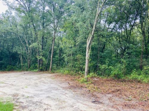 9650 135th Ln, Dowling Park, FL 32060-8890