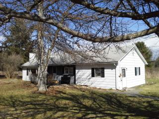 2804 Ellis Creek Rd, Barton, NY 13734-1015