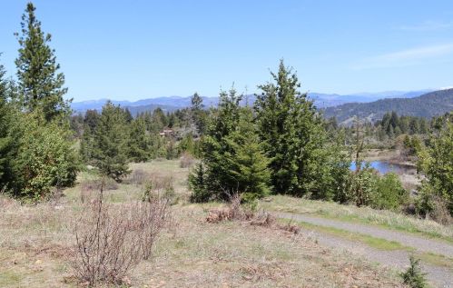 28901 Skyview Rd, Willits CA  95490-8420 exterior