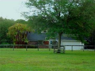 4126 Hay Rd, Lutz, FL 33559-8113