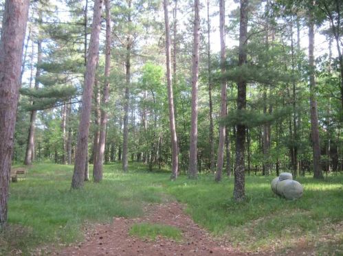 984 Trout Valley Rd, Friendship, WI 53934-9771