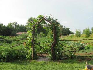 1368 Columbia Hill Rd, Monterey, TN 38574-5438