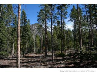 63 Independence Rd, Montezuma, CO 80435-7706