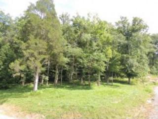 204 Walnut Bend Dr, Whitesburg, TN 37891-2036
