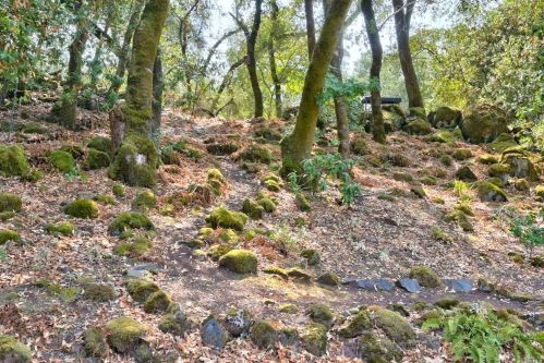 3722 Sleepy Hollow Dr, Santa Rosa CA  95404-1528 exterior