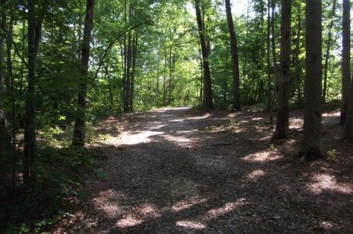 14891 Peach Stone, Crawford, TN 38554-3651