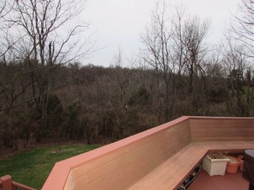 73 Canon Rdg, Newport KY  41075-2059 exterior