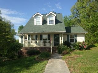 413 Lake Vista Dr, White Pine TN  37890-4819 exterior