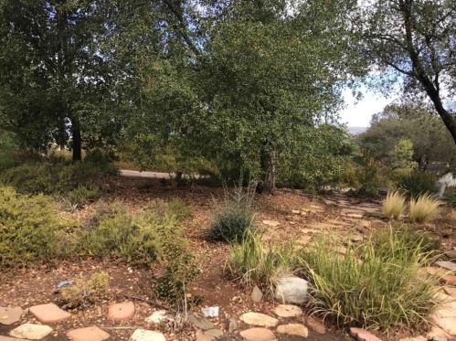 1365 Grade Rd, Alpine CA  91901-2940 exterior