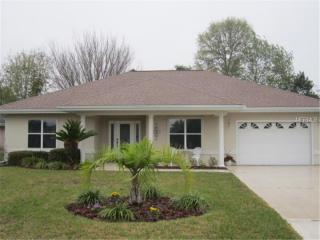 11337 175th Pl, Summerfield, FL 34491-6617