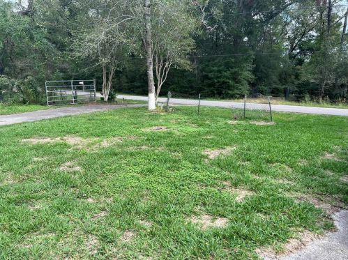 15408 Esther Dr, Conroe TX  77384-4641 exterior