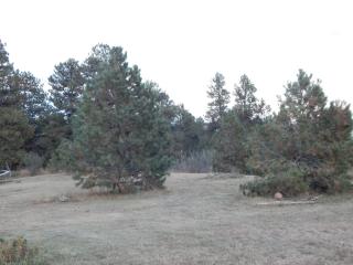 37505 Bluebird Ln, Elizabeth, CO 80107-8502