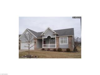 919 Mesquite Ln, Barb, OH 44203-8664