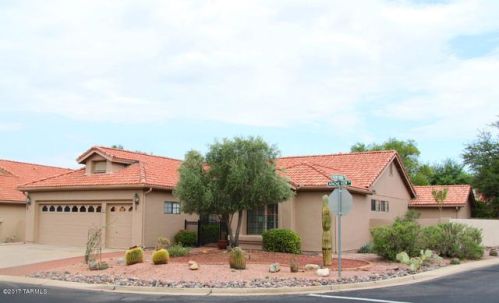 38420 Apache View Dr, Tucson, AZ 85739-1058