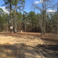 1303 Track Rd, Pelion, SC 29123-9399