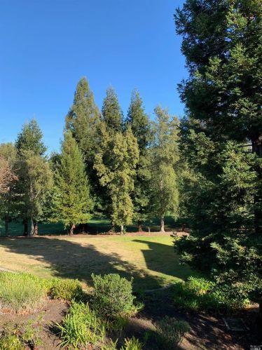 2082 Stonefield Ln, Santa Rosa CA  95403-0951 exterior