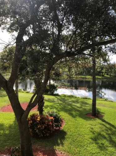 675 Luisa Ln, Naples FL  34104-9430 exterior