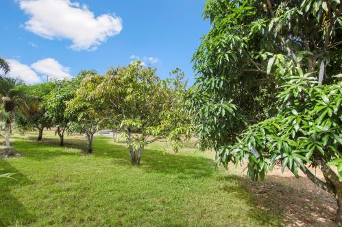 16893 Hamlin Blvd, Town Of Loxahatchee Groves FL  33470-1737 exterior