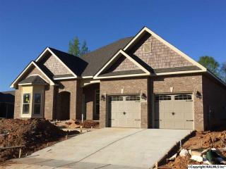 102 Castletown Ln, Madison AL  35757-6959 exterior