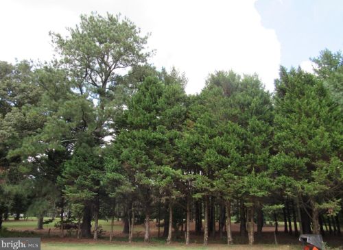 12007 Laurel Rd, Laurel DE  19956-3538 exterior