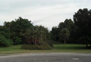 1821 Rumar Ln, Tarpon Springs, FL 34691-9600