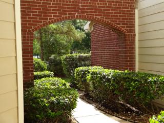 110 Magnolia Pond Pl, Spring TX  77381-5000 exterior