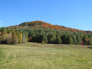 2156 Blackmer Blvd, Stockbridge, VT 05772-9708