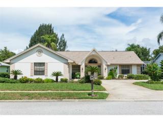 8517 Braxton Dr, Port Richey, FL 34667-6945