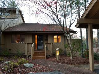 101 Chinquapin Oak Ln, Hendersonville NC  28791-2944 exterior
