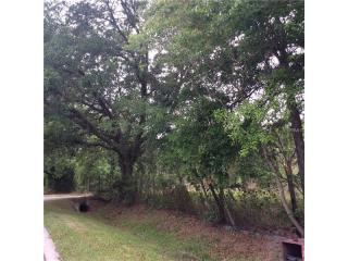 18253 Hewlett Rd, Orlando, FL 32820-2106