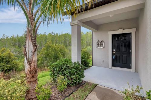 18972 Hampstead Heath Ct, Land O Lakes, FL 34638-0029