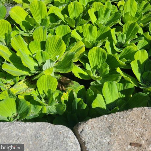 1139 Wilson Ave, Glen Mills PA  19342-9610 exterior