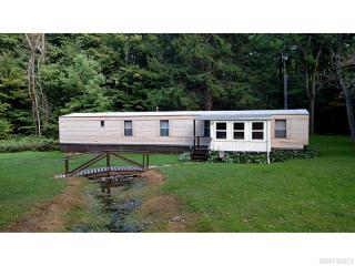 8203 Skinner Rd, Salamanca, NY 14779-9717