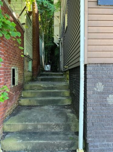 405 Lookout Ave, North Charleroi PA  15022-1363 exterior