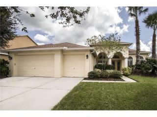 6310 Bridgevista Dr, Lithia, FL 33547-4871