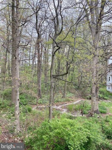 224 Stone Hurst Ct, New Castle DE  19720-3947 exterior