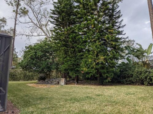 5115 Timberview Ter, Orlando FL 32819-3843 exterior