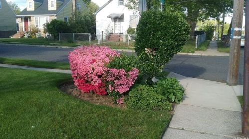 218 Clement Ave, Floral Park NY  11003-2706 exterior