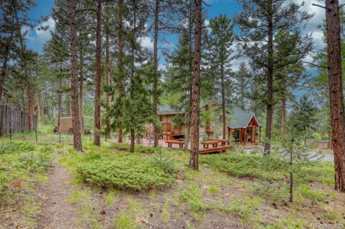 26196 Rea Ave, Conifer, CO 80433-8515